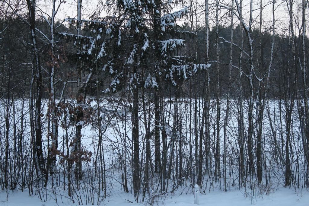 Дома для отпуска Romanovtsy 12 Romanovtsy-43